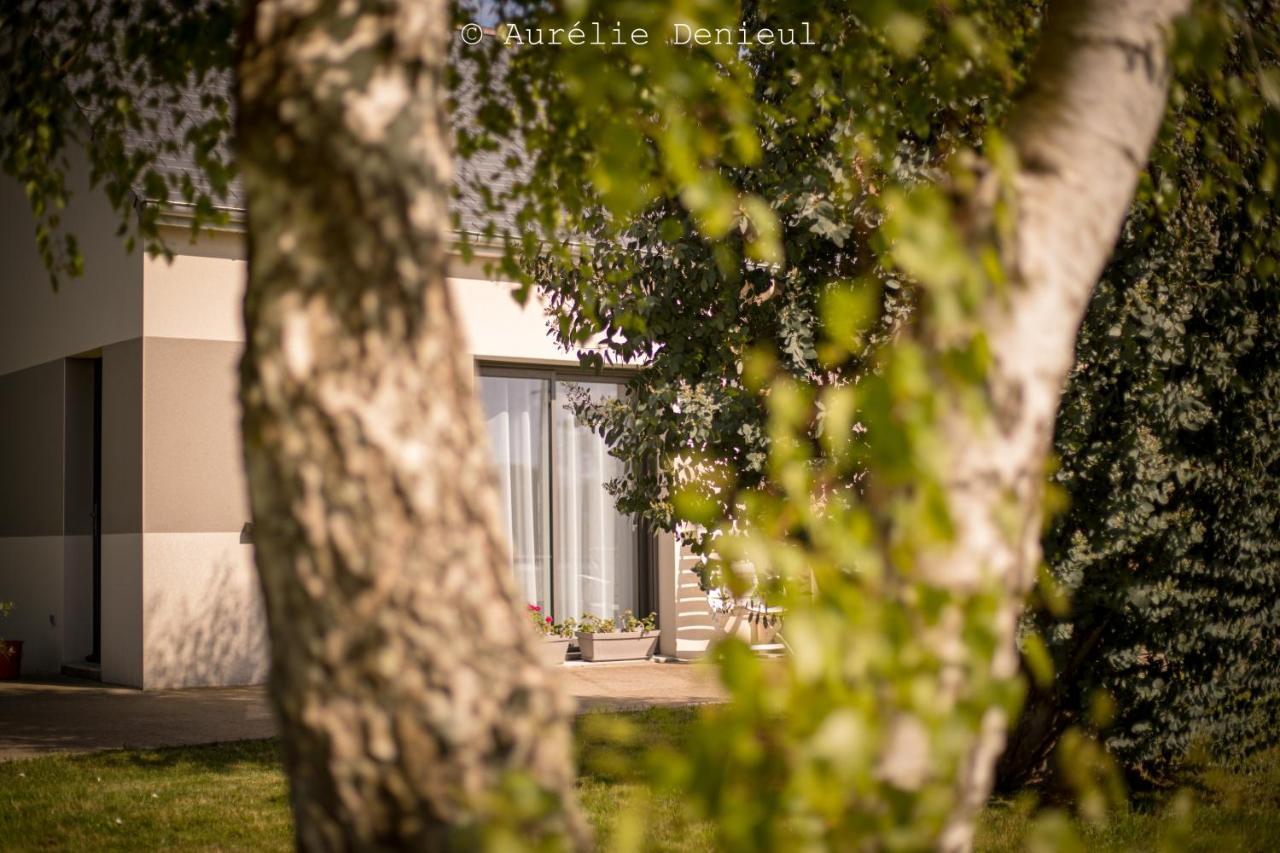 Maison A 800M De La Plage Saint-Lunaire Eksteriør billede